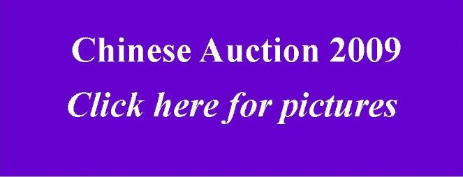 auction web.jpg
