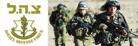 idf.jpg