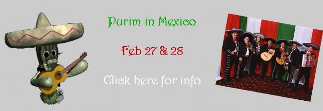 purim web.jpg