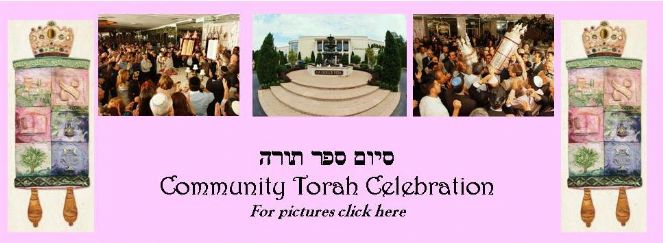 torah web.jpg